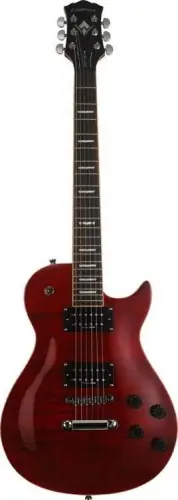 Gitara Elektryczna - Washburn WIN PRO FTR
