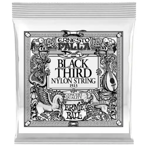Ernie Ball 1513