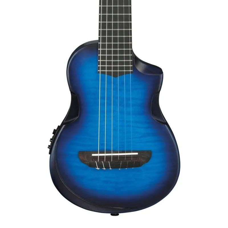 Ibanez AUP10FMNE-TBO